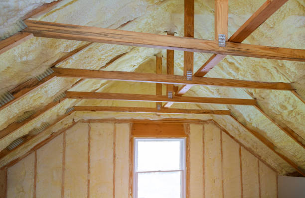 Best Insulation Maintenance and Repair in Canyon Lake, TX