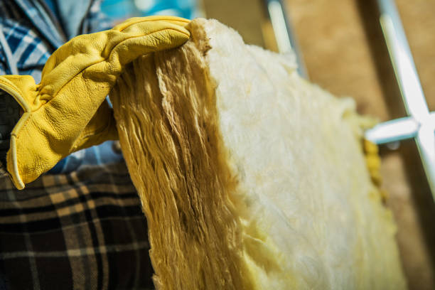 Best Specialized Insulation Services in Canyon Lake, TX