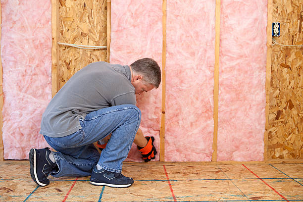Best Blown-in Insulation in Canyon Lake, TX