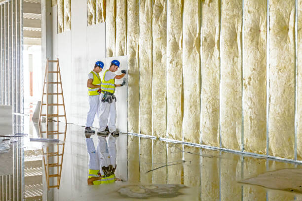 Best DIY Insulation Kits and Guidance in Canyon Lake, TX